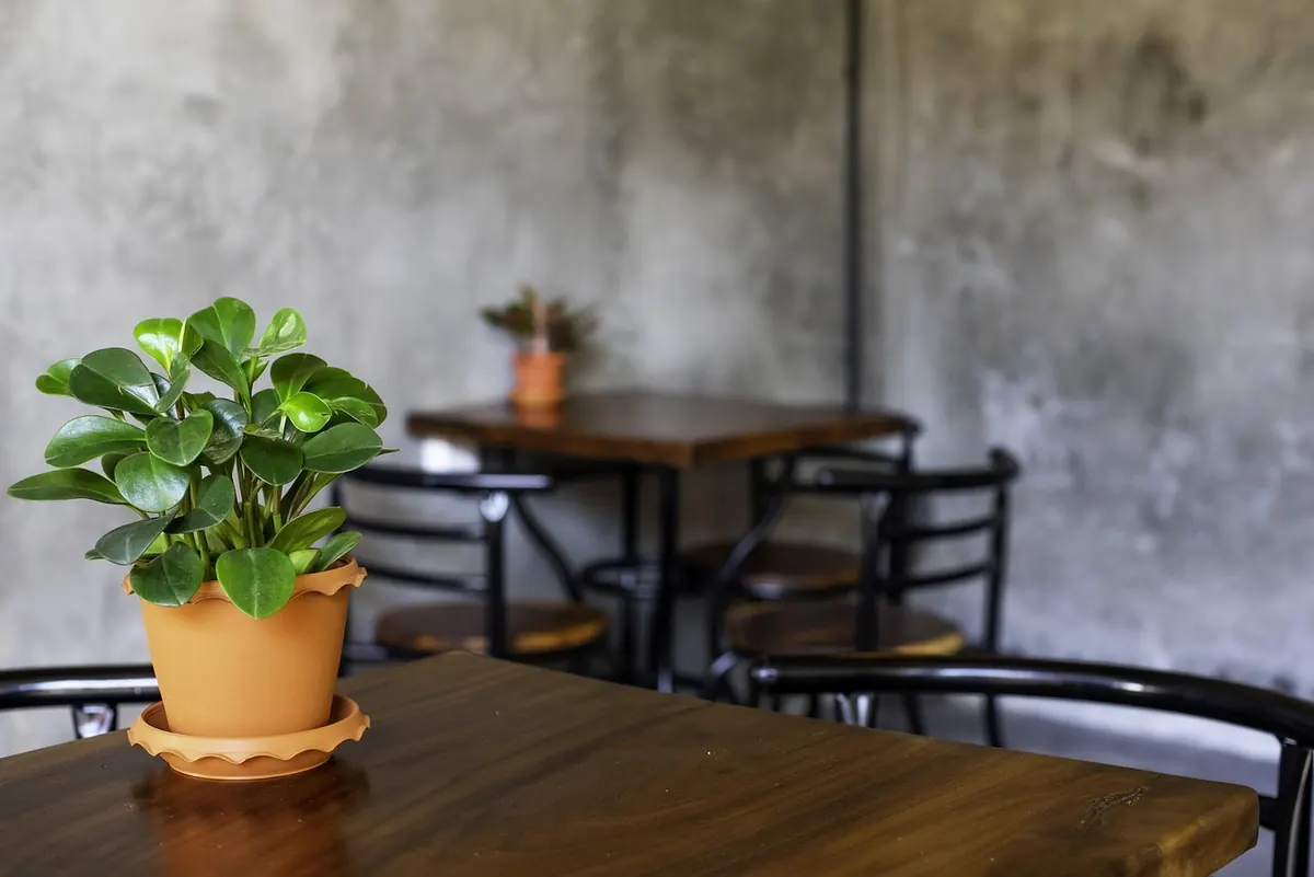 A Spring Tea Menu: 6 Floral and Grassy Teas to Welcome the Season